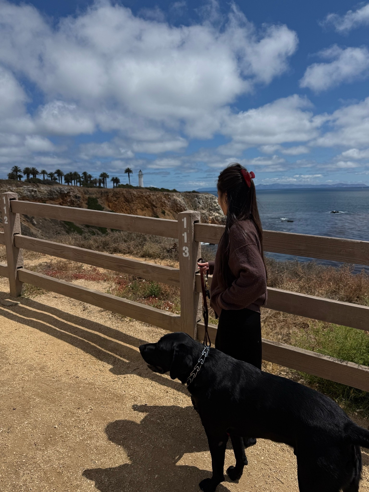 afternoon walk🐾

#LTKootd