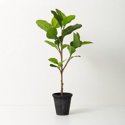 39&#34; Faux Audrey Ficus Tree - Hearth &#38; Hand&#8482; with Magnolia | Target