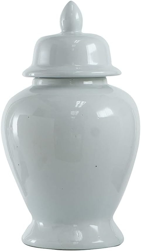 A&B Home Ginger Jar, 10 by 17-Inch | Amazon (US)