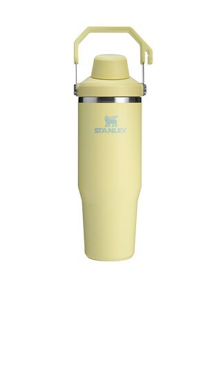 STANLEY The Iceflow Fast Flow Tumbler 30 Oz in Yellow. | Revolve Clothing (Global)