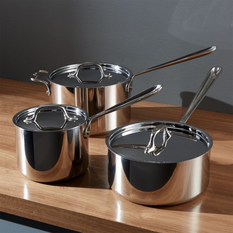 All-Clad Stainless Saucepans with Lid | Crate & Barrel | Crate & Barrel