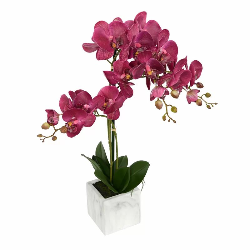 Artificial Phalaenopsis Floral Arrangement in Pot | Wayfair North America