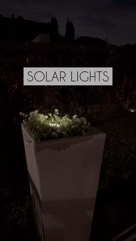 Put these solar lights in your outdoor planters for a beautiful ambiance

#LTKhome #LTKunder50 #LTKSeasonal