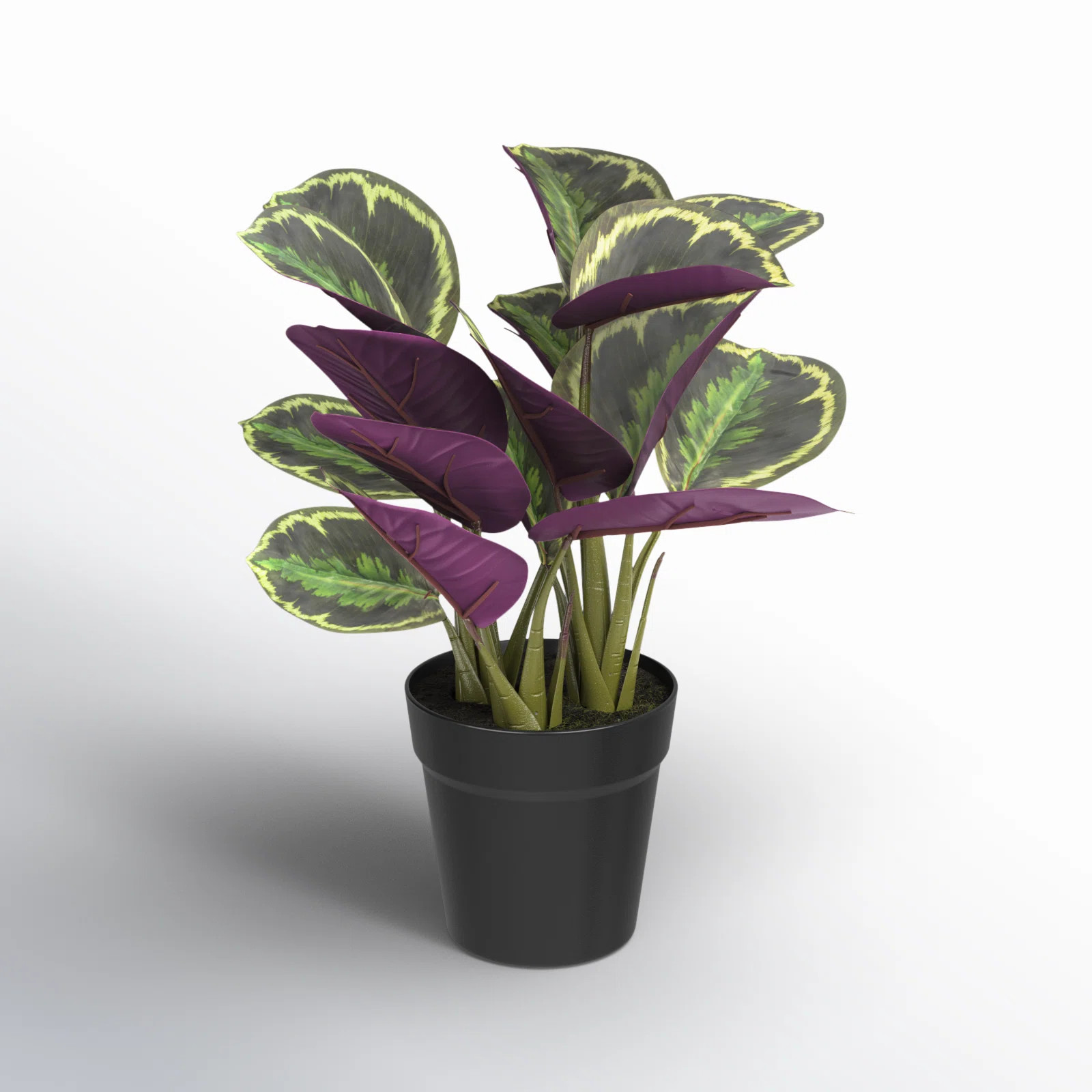 Vickerman 16.1 Plant | AllModern | AllModern