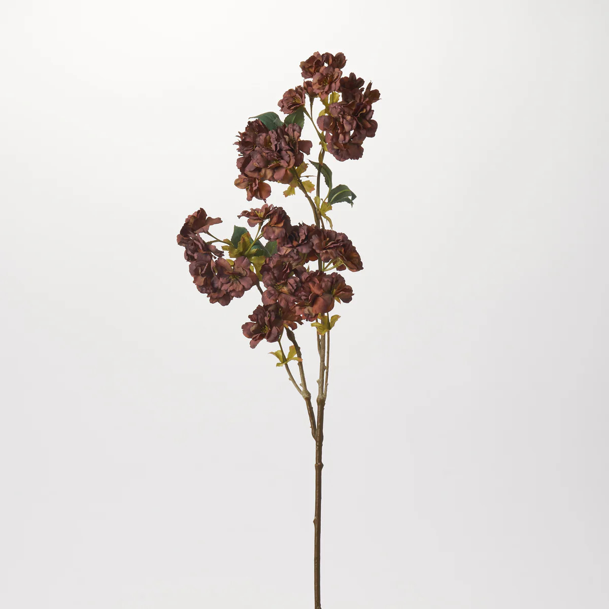 Chocolate Brown Silk Cherry Blossom Spray - 32" | Darby Creek Trading