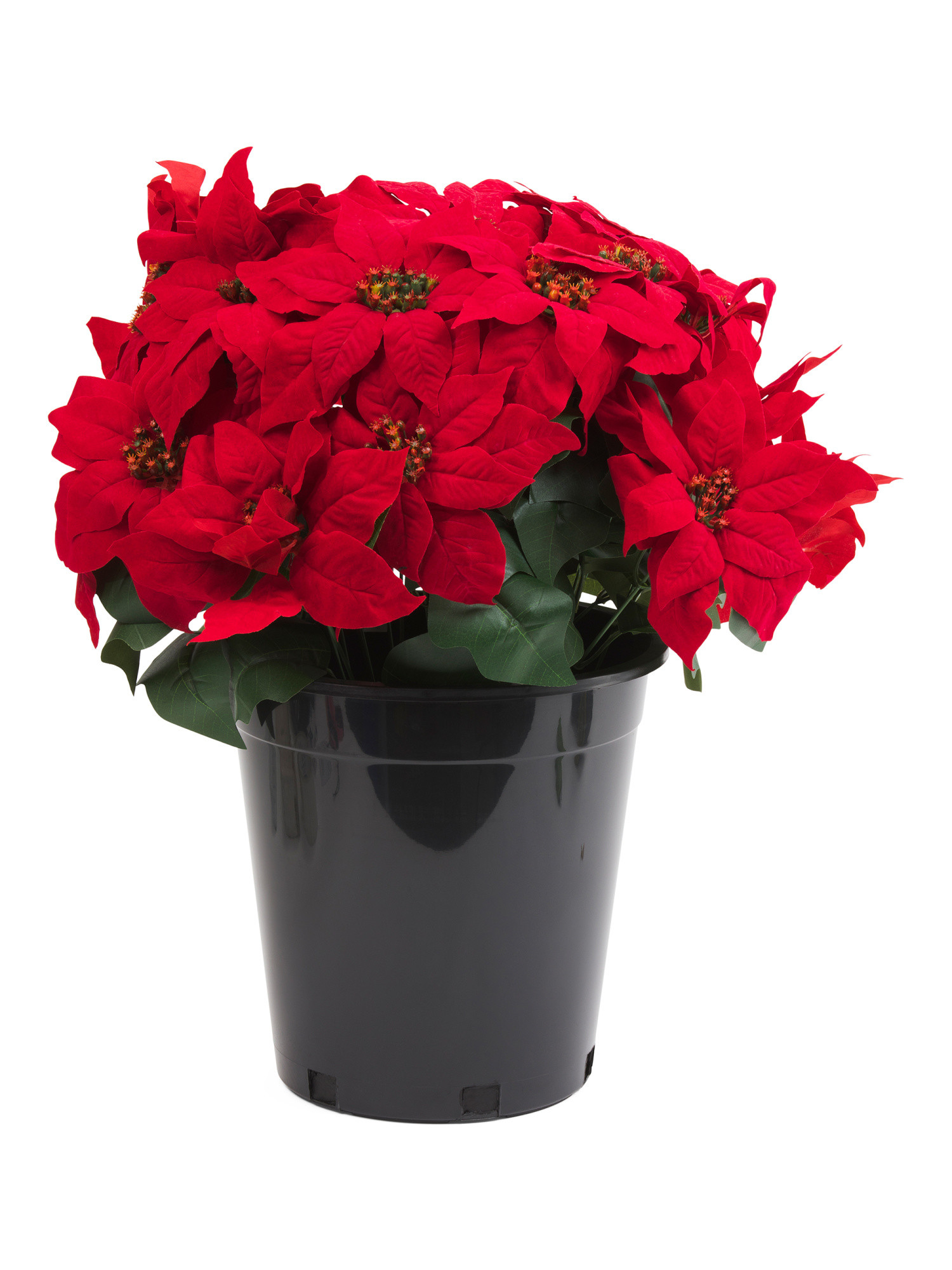 23in Outdoor Safe Poinsettia Drop-in | TJ Maxx