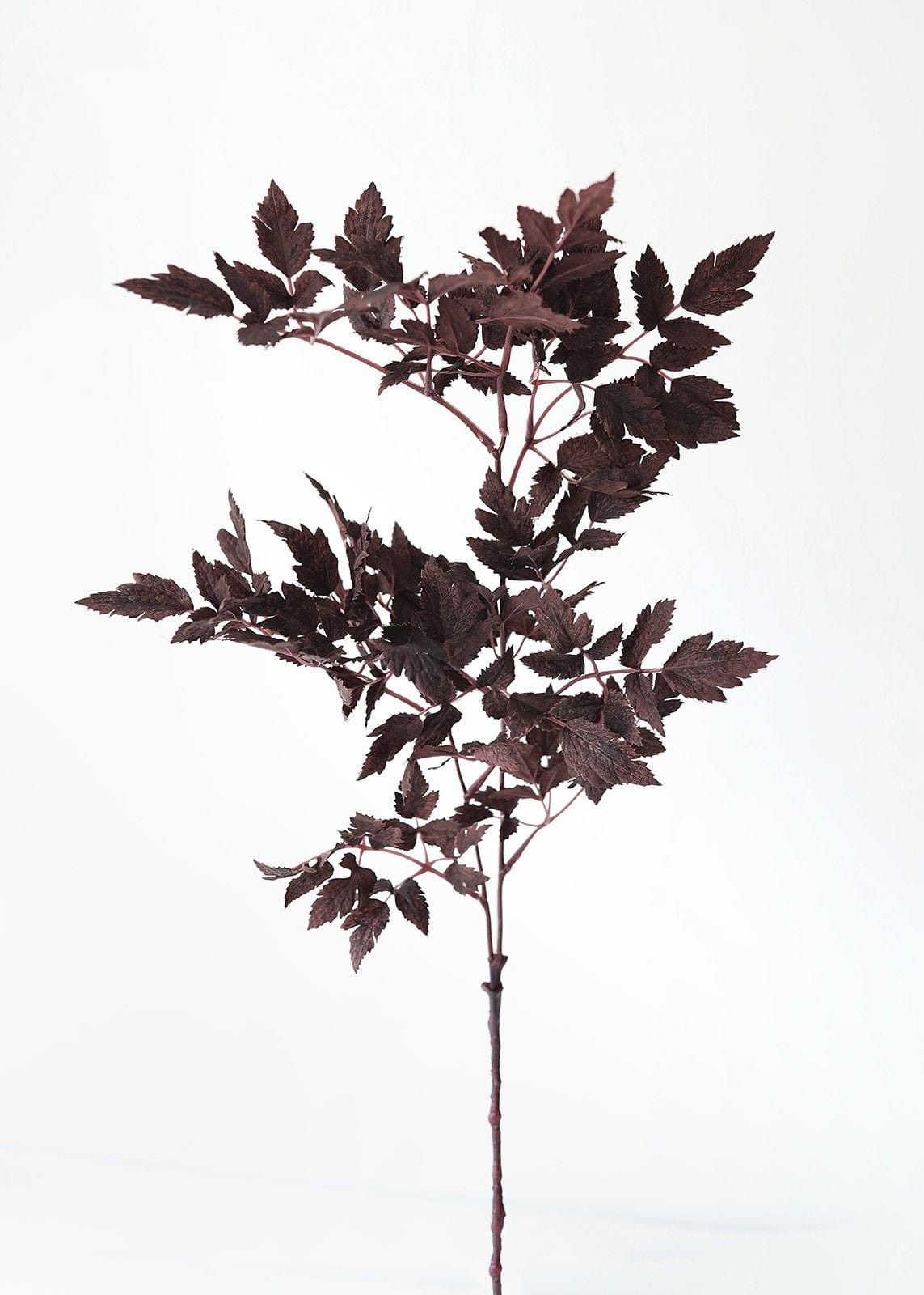 Plum Fake Cimicifuga Ramosa Leaves, Fall Botanicals, Fall Center Piece, Seasonal Decor, Fall Blooms | Afloral (US)