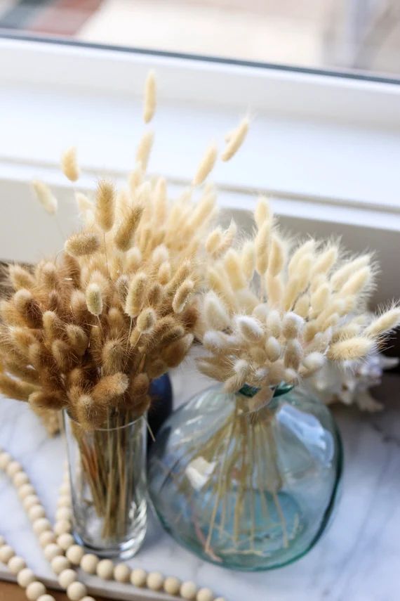BUNNY TAILS- White by Luxe B Pampas Grass | Etsy (US)