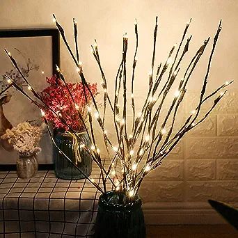 GM G-MORE 2 Pack LED Branch Lights, Battery Powered Decorative Lights String, Willow Twig Lighted... | Amazon (US)