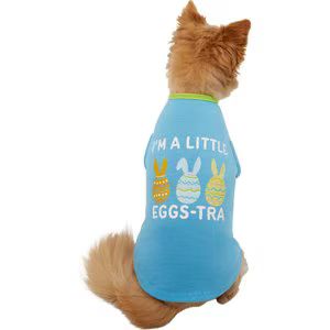Frisco I'm a Little Eggs-tra Dog & Cat T-Shirt | Chewy.com