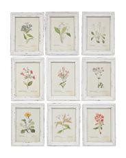 Set Of 9 11x14 Garden Meadow Study Wall Art | TJ Maxx