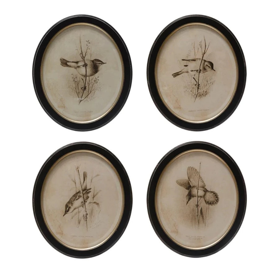 Framed Wall Decor with Bird Print, Assorted Styles | The Nested Fig