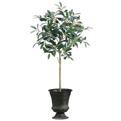 Olive Floor Foliage Tree in Tin Urn | Wayfair North America