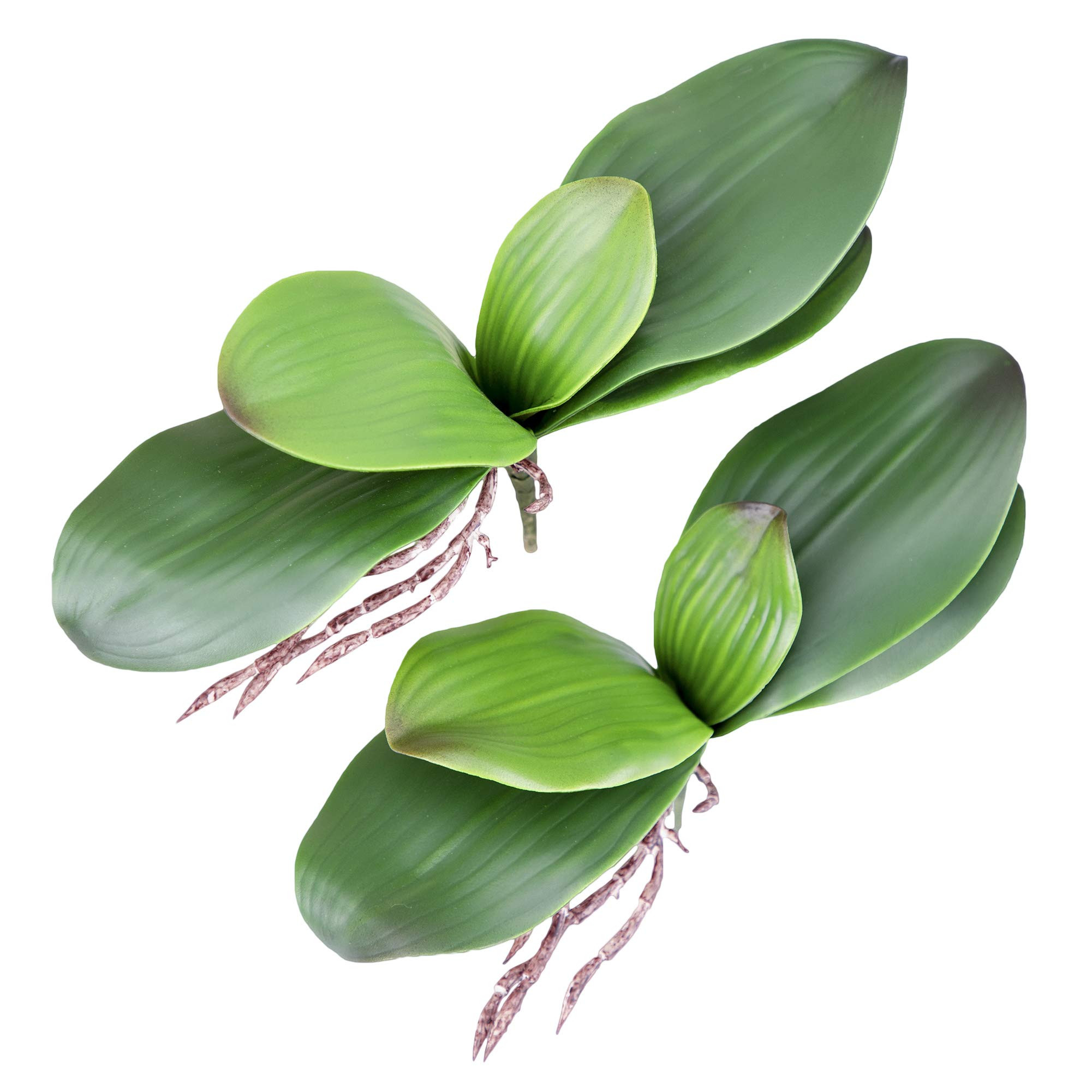 Fnize Orchid Leaves Artificial Phalaenopsis Stems Leaf Faux Cymbidium Flower Foliage Green Real T... | Amazon (US)