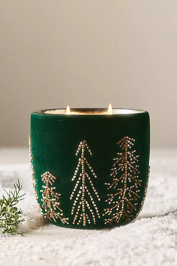 Velvet Forest Woody Juniper & Cedar Glass Candle | Anthropologie (US)
