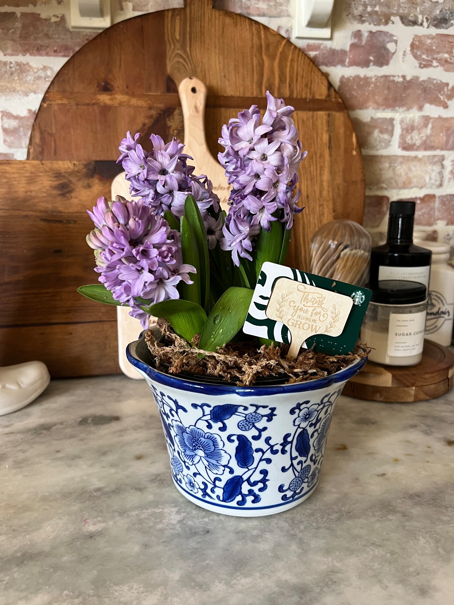 An adorable gift idea for teachers!


Teacher appreciation  end of school year gifts  teacher gifts



#LTKGiftGuide #LTKFamily #LTKKids