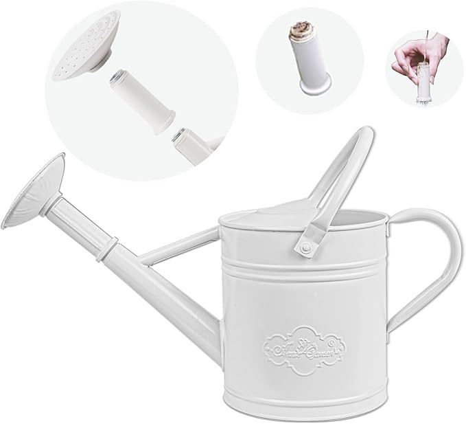 1 Gallon Metal Watering Can for Indoor Plants Outdoor Plants, Small Watering Can, Garden Watering... | Amazon (US)