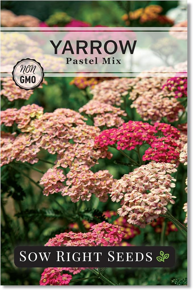 Sow Right Seeds - Pastel Mix Yarrow Seeds for Planting - Vibrant Yarrow Flowers for Attracting Po... | Amazon (US)