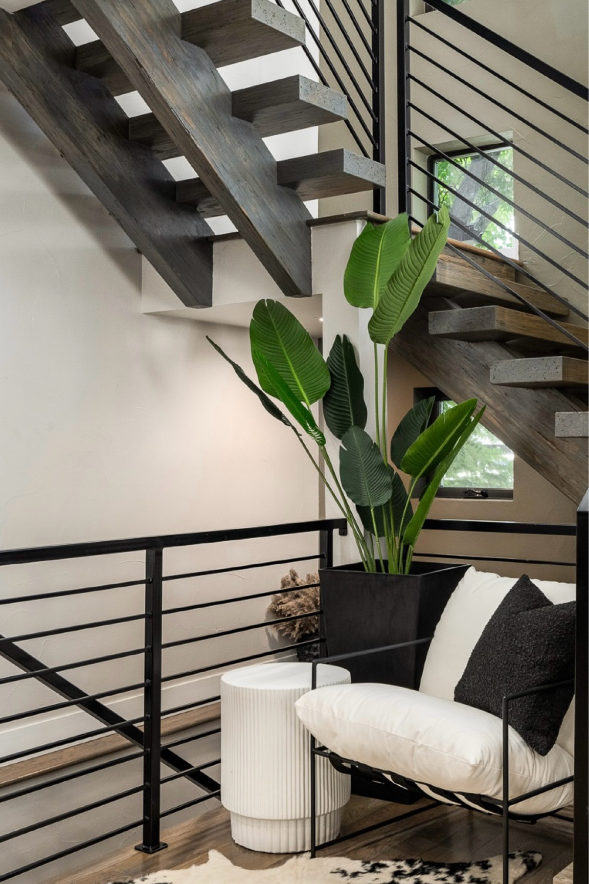 Our banana leaf plant is on sale for prime day - this one is the 6 foot - pro tip, grab a tall planter with a shelf in the middle to make it appear extra tall or add a cardboard box inside your planter to elevate it & cover with faux moss  

#LTKHome #LTKFindsUnder100 #LTKxPrimeDay