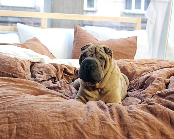 Linen duvet cover, Tobacco bedding, Linen bedding, Pure linen duvet, Duvet cover king, Duvet cove... | Etsy (US)