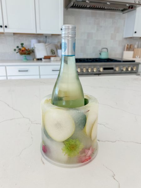 The cutest wine ice mold for keeping your wine extra cold! 

#LTKSeasonal #LTKparties #LTKhome