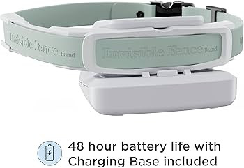 Invisible Fence GPS Dog Fence and Tracking Collar, Wireless Dog Fence with Real Time GPS Tracker,... | Amazon (US)
