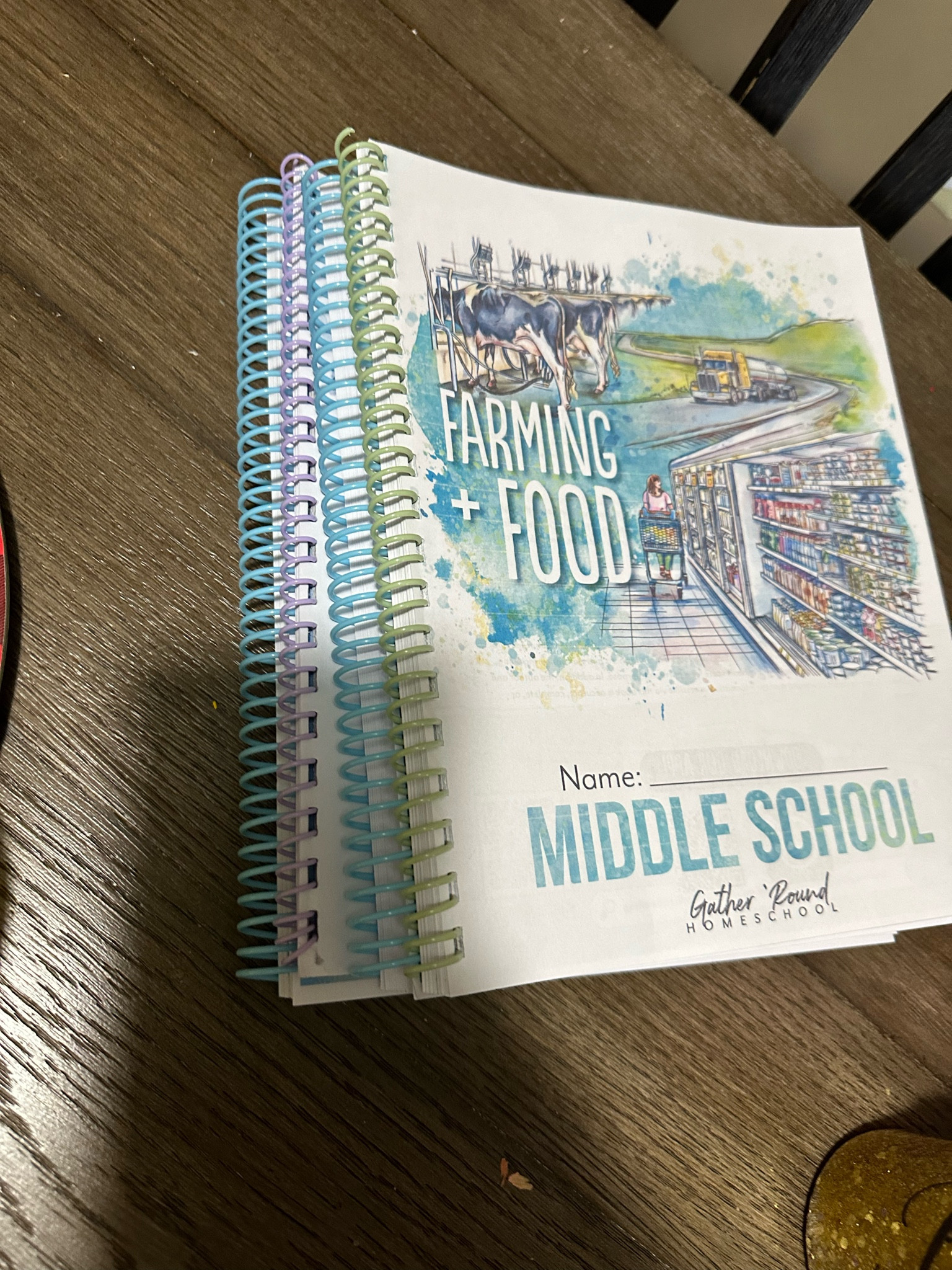 Love working on getting the curriculum ready for the kids for the next year!