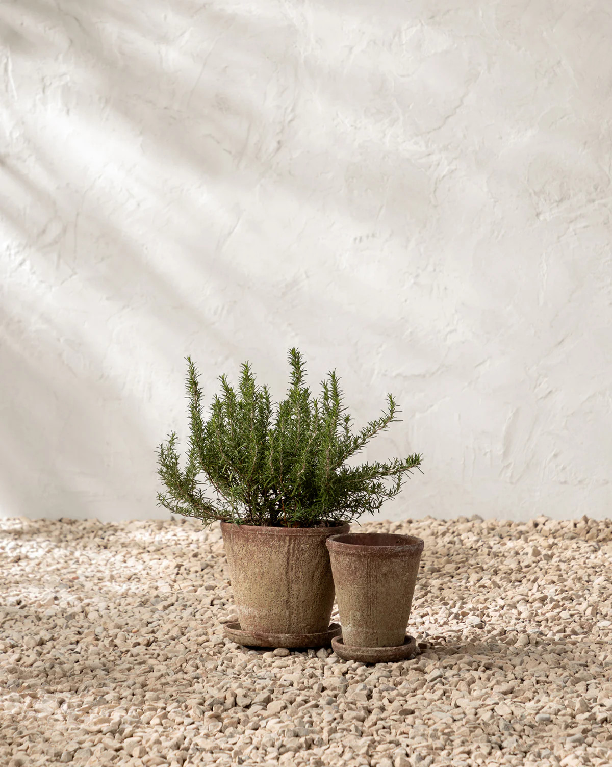 Oksana Distressed Cement Planter | McGee & Co. (US)