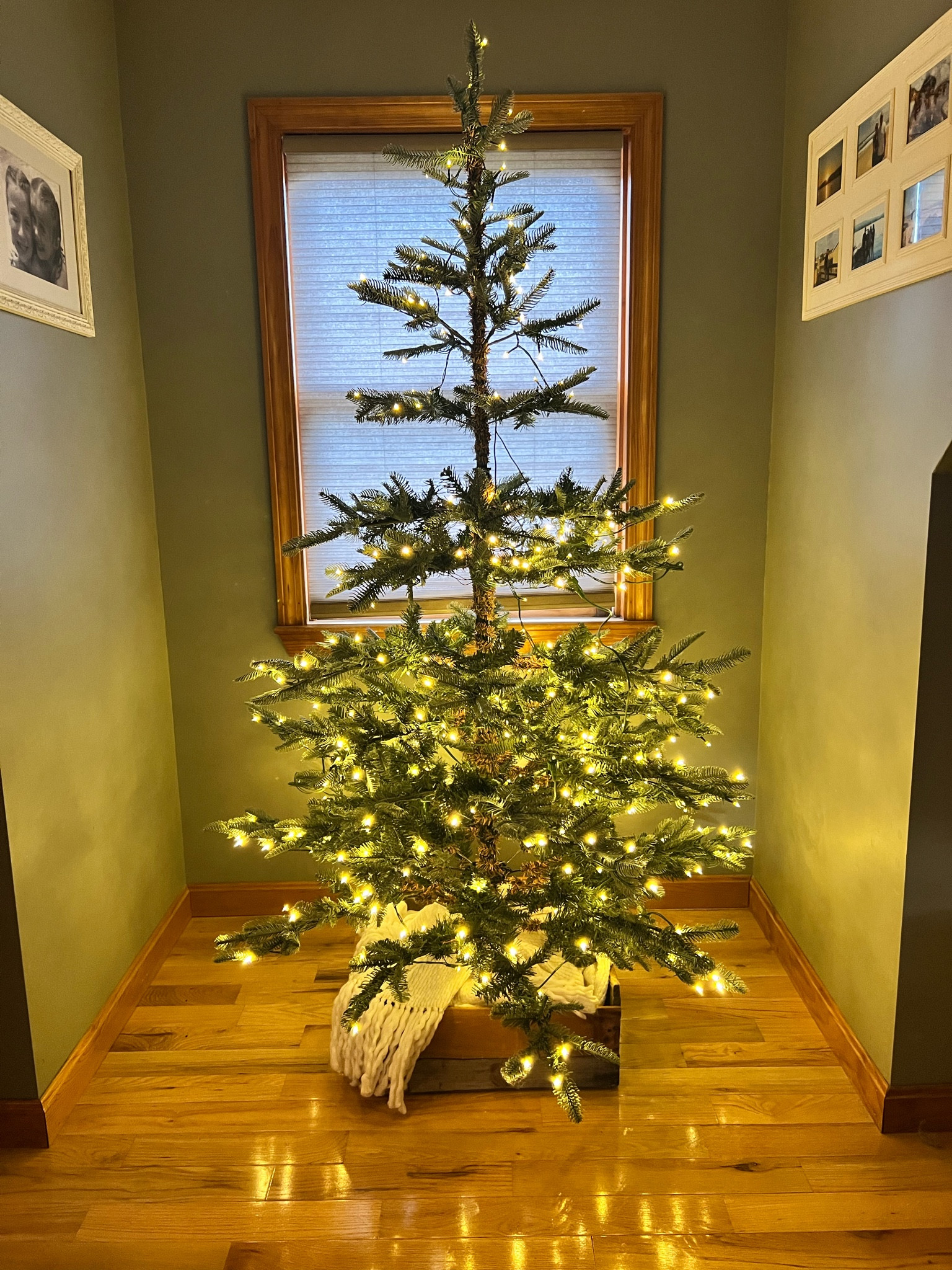 King of Christmas Noble Fir

#LTKSeasonal #LTKHoliday #LTKHome