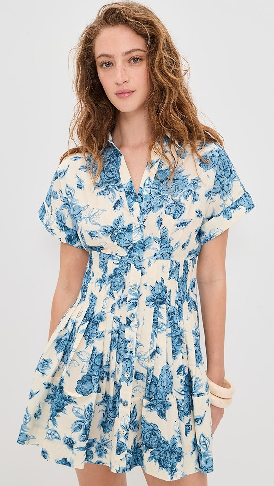 Nash Mini Dress | Shopbop