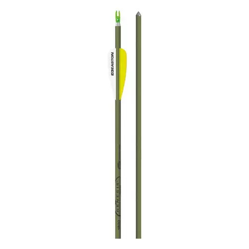 Easton Genesis Arrow | Scheels Sports