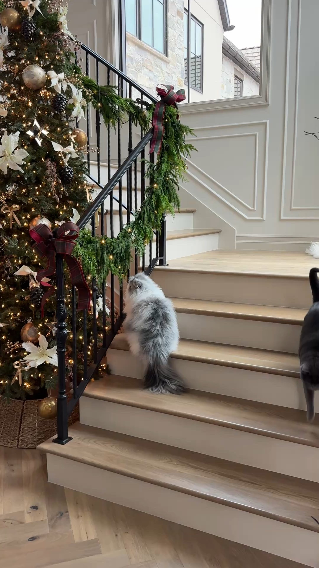 Last Chance for 40% off and free shipping!!!  Use code EARLYVIP

This is one of my favorite garlands!  I love the mixed greenery and this is an unbelievable deal! 

#LTKSeasonal #LTKHome #LTKCyberWeek