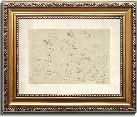 Kizbok Gold Framed Wall Art for Home Decor, Vintage Birds Sketch Line Art Prints, Minimalist Bird... | Amazon (US)