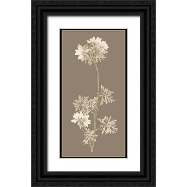 Vision Studio 18x32 Black Ornate Wood Framed with Double Matting Museum Art Print Titled - Taupe ... | Walmart (US)