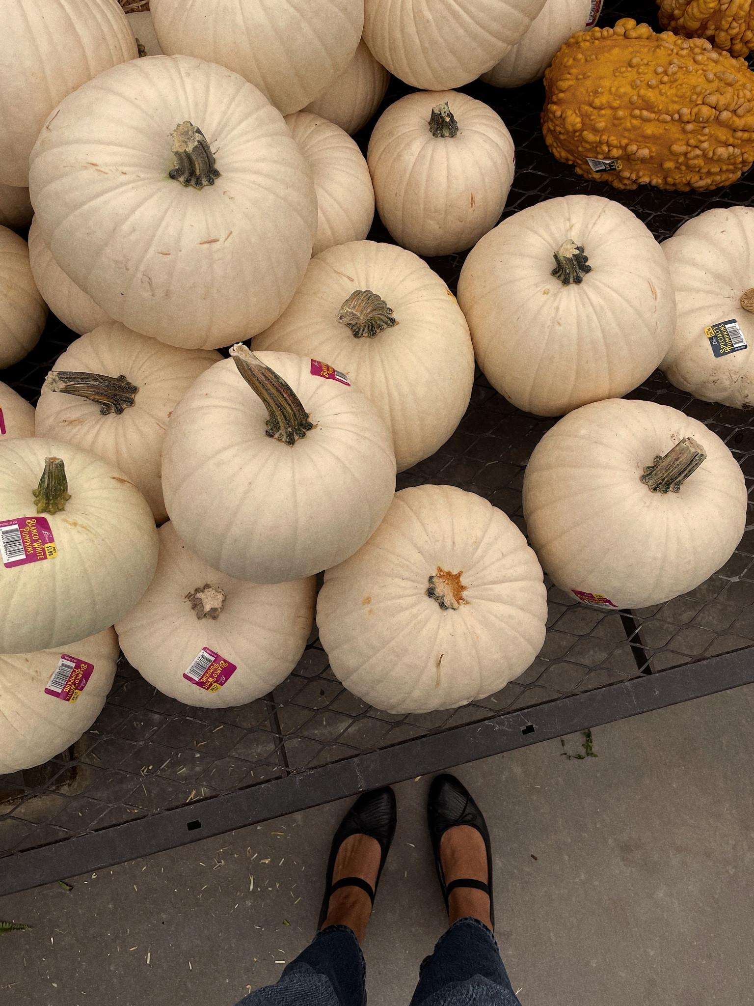 Ballet flats with strap 