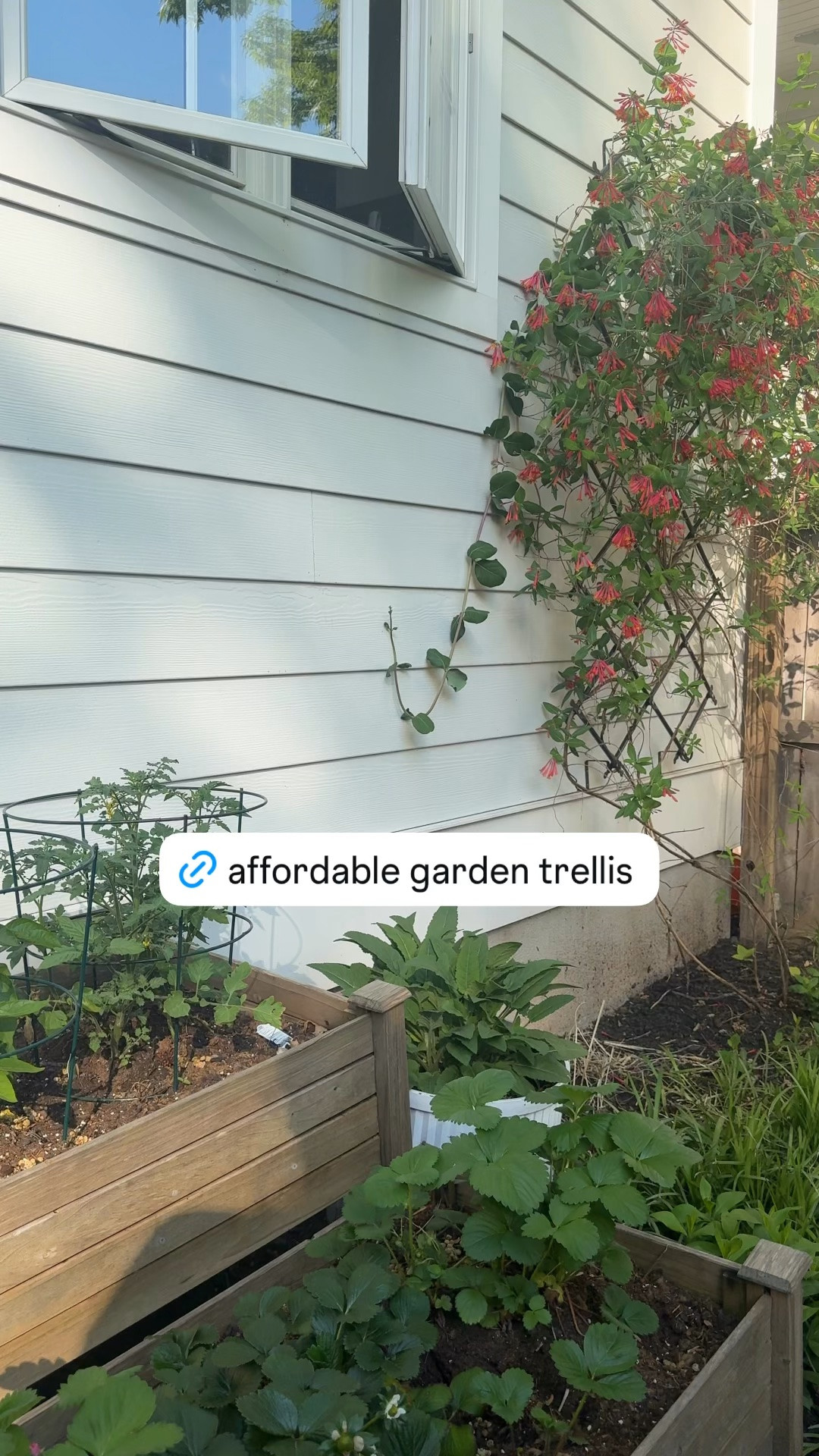 Our @Wayfair garden wall trellis is so good that I bought it twice!! Saturday, fit on nearly any wall because it’s adjustable and looks so pretty. Under $100!!

#LTKdayinmylife #LTKSeasonal #LTKHome