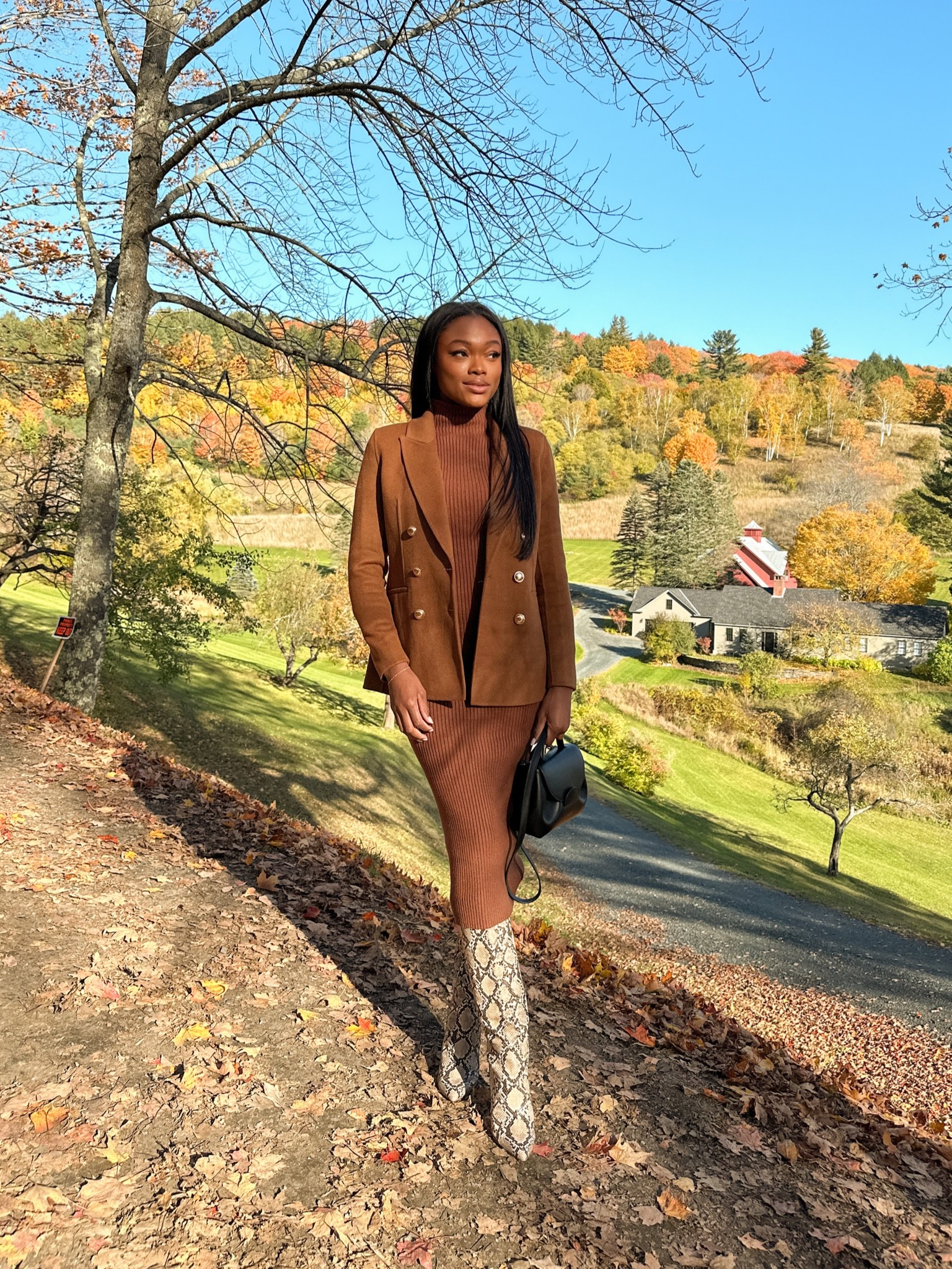 Wool blend blazer and sweater dress outfit! This elevated fall look would be perfect to wear on a date night!  

#LTKSeasonal #LTKshoecrush #LTKstyletip