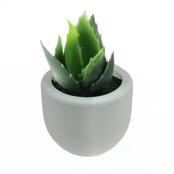 Northlight 3.5" Succulent Artificial Potted Plant Table Top Decoration - Green/White | Target