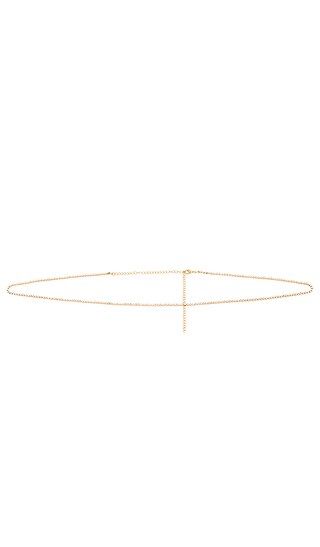 Tahiti Belly Chain in Gold | Revolve Clothing (Global)