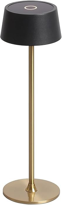 DAWALIGHT Cordless Lamp 4000mAh Rechargeable tbale lamp LED Desk Lamp Tempered Glass Stepless Dim... | Amazon (US)