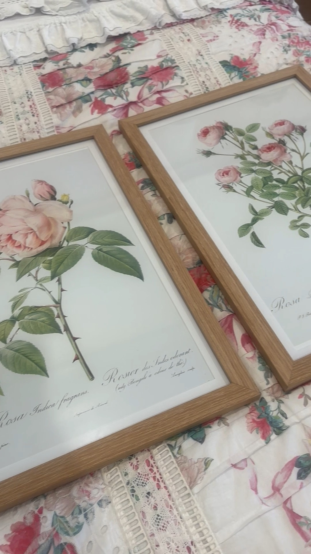 Inexpensive botanical prints 

#LTKHome