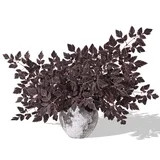 Waipfaru 3 Pack Artificial Cimicifuga Plant Stems, 36" Faux Silk Plum Cimicifuga Ramosa Branches ... | Walmart (US)