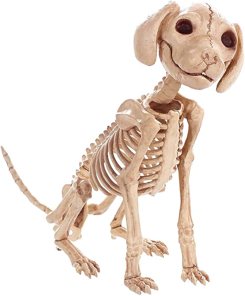 LKXHarleya Halloween Decoration, Halloween Skeleton Puppy, Mini Poodle Dog Skeleton Dog Bones for... | Amazon (US)