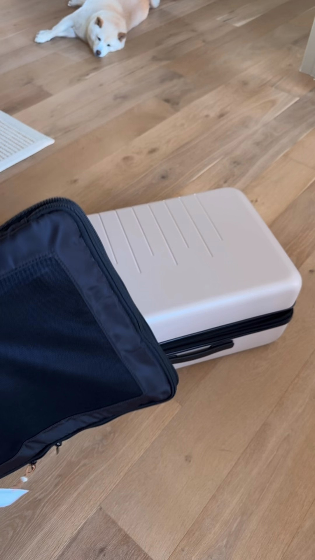 Quince has great quality travel items! Their suitcases are quality tested, have TSA approved locks, and a compression panel. Their packing cubes come with so many sizes and make packing a breeze!
@onequince #quincepartner


#LTKfamily #LTKtravel #LTKActive