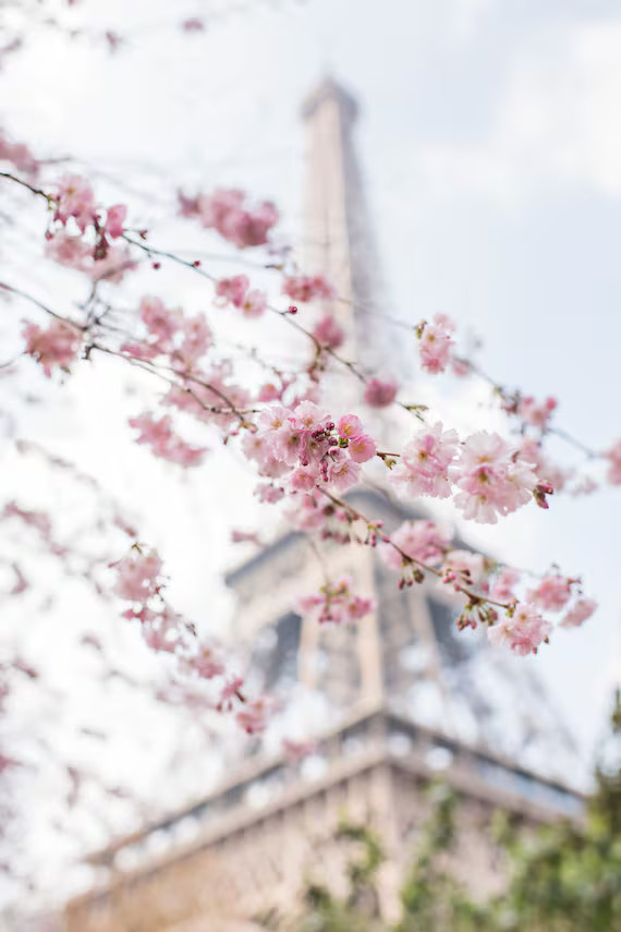 Paris Photography - First Day of Spring in Paris, Cherry Blossoms at the Eiffel Tower, Paris Art ... | Etsy (US)