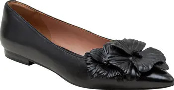 Linea Paolo Nerine Pointed Toe Flat (Women) | Nordstrom | Nordstrom