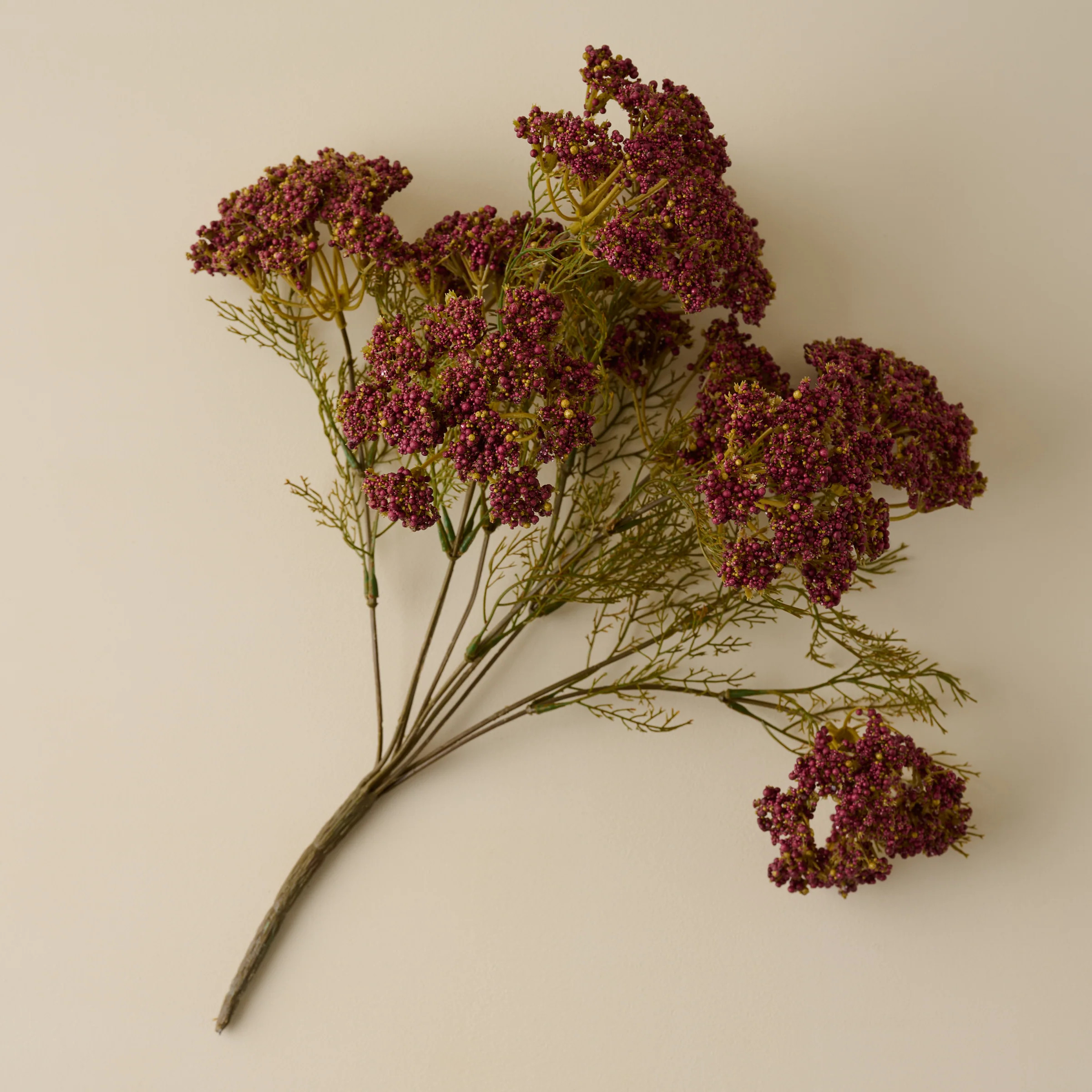 Purple Yarrow Bush | Magnolia