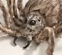 Harry Potter™ Lit Aragog Spider & Mini Spider String Lights | Pottery Barn (US)