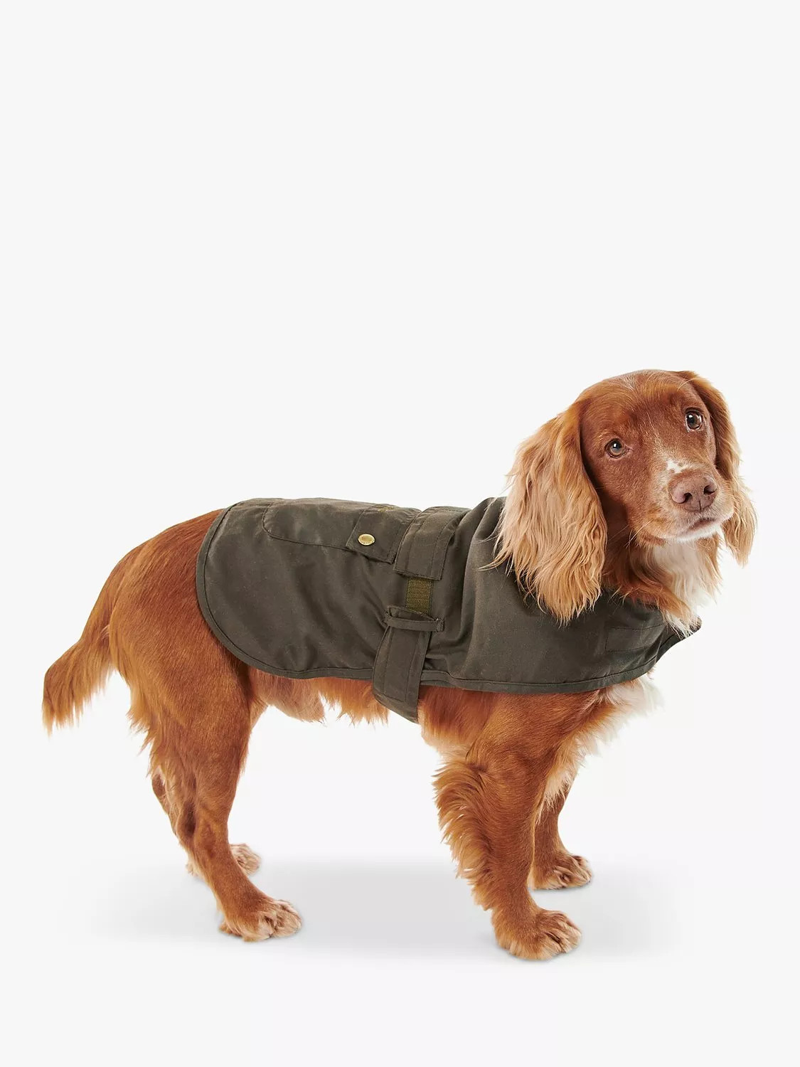 Barbour 2 in 1 Wax Dog Coat, Olive | John Lewis (UK)
