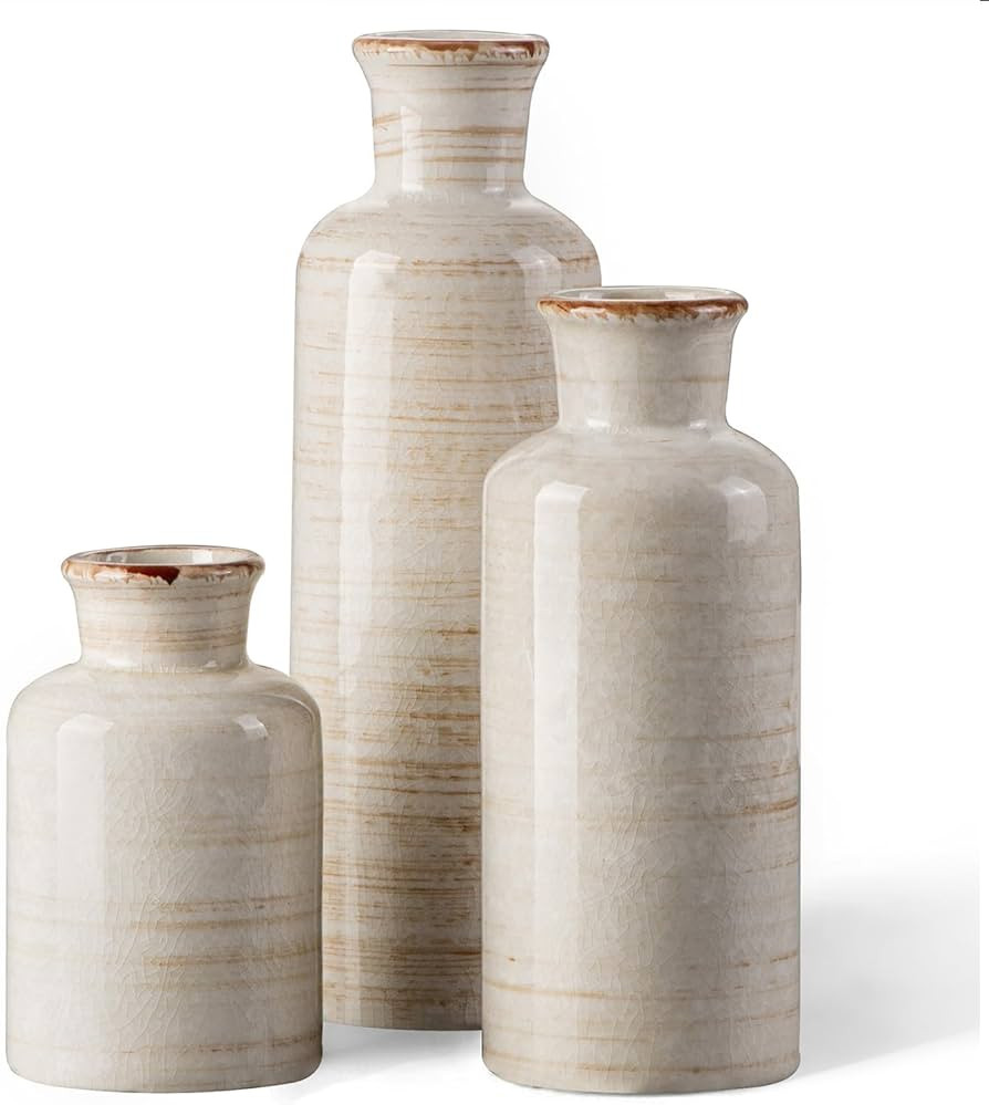 CwlwGO- Ceramic Rustic Vase 3 Piece Set,Small vase for Country Home Decoration,Modern Farmhouse D... | Amazon (US)